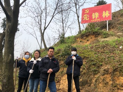 華龍公司開展植樹活動 為大自然添新綠